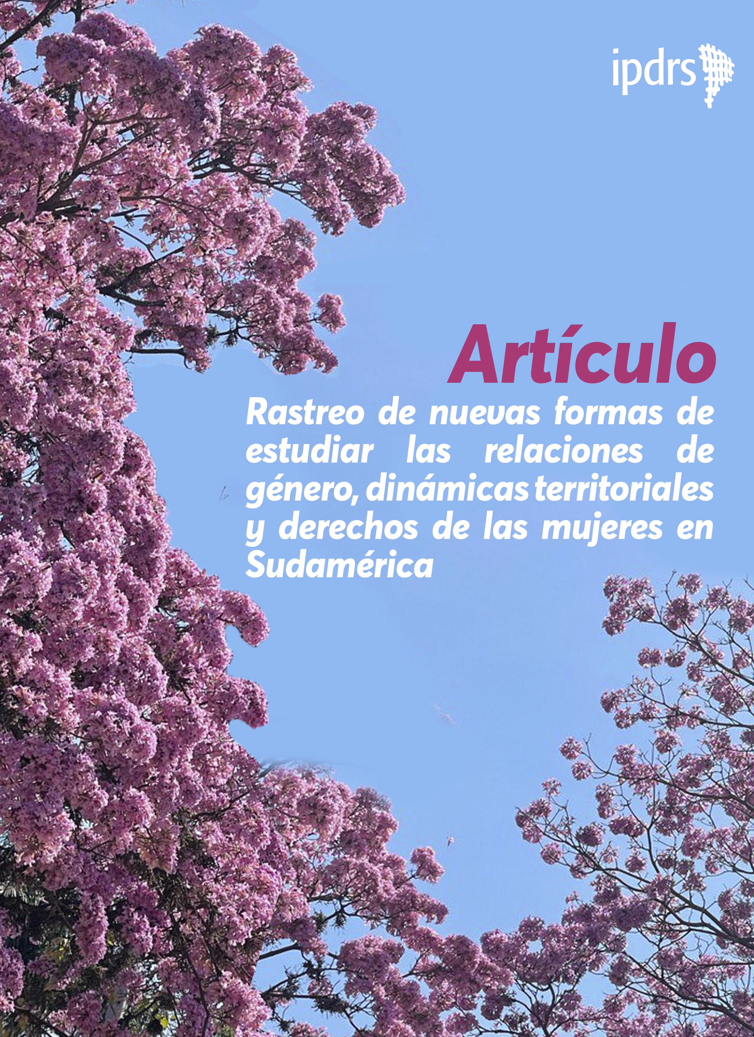 Rastreo de nuevas formas de estudiar las relaciones de género, dinámicas territoriales y derechos de las mujeres en Sudamérica