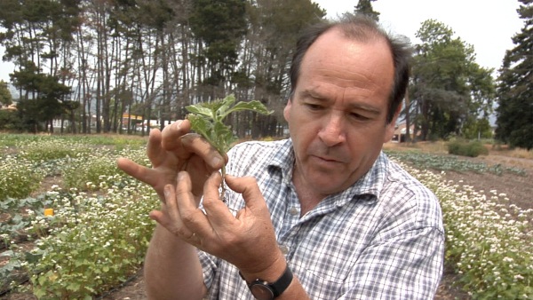 Jornadas agroecología Altieri