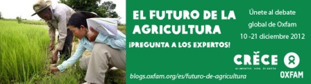 Foro debate el futuro de la agricultura