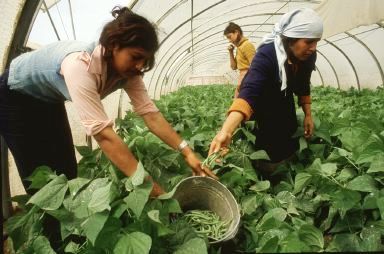 mujer y seguridad alimentaria 