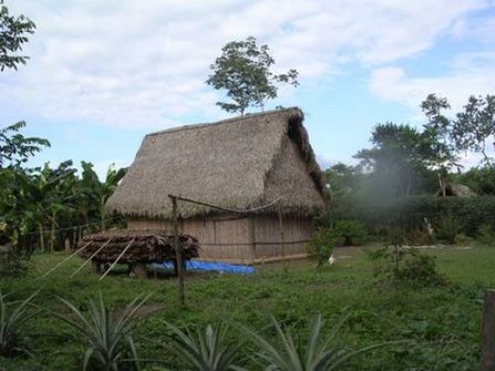 entrentamiento campesinos y tacanas bolivia